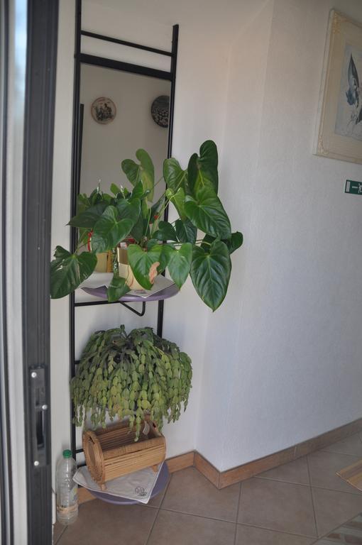 Franko Apartmani Замбратия Екстериор снимка